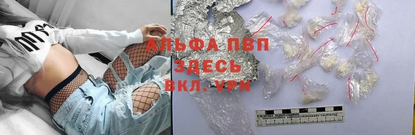хмурый Туринск