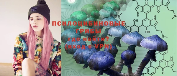 экстази Тында