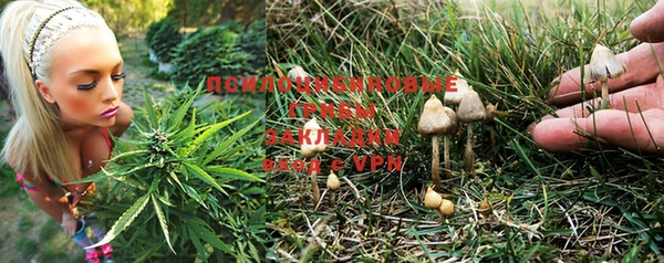 твердый Усолье-Сибирское