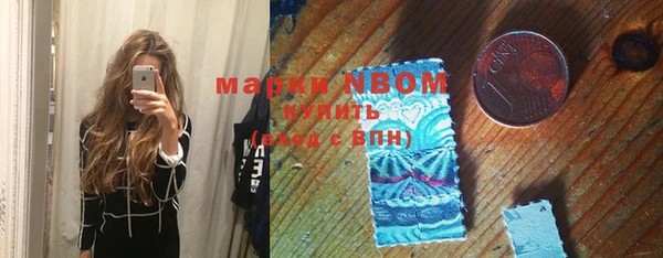 хмурый Туринск