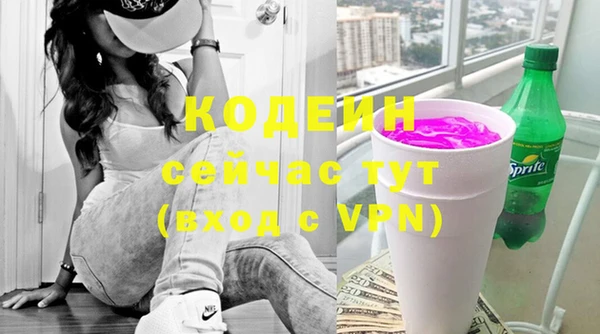хмурый Туринск
