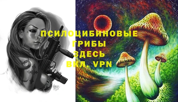 экстази Тында
