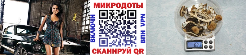 купить закладку  МЕГА рабочий сайт  Галлюциногенные грибы мицелий  Чебаркуль 