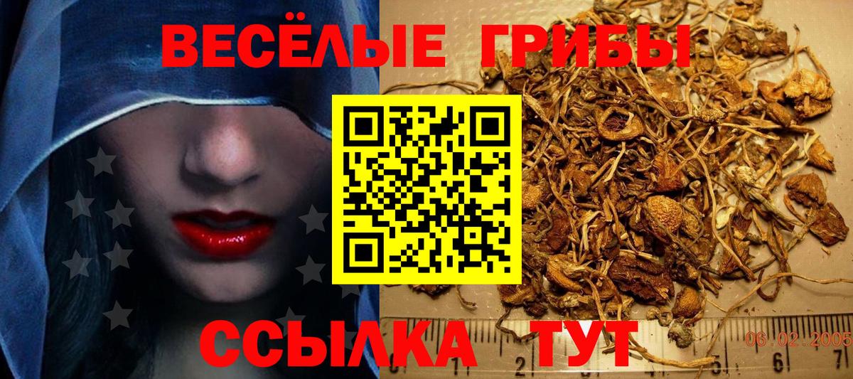 Чебаркуль  Псилоцибиновые грибы GOLDEN TEACHER  Псилоцибиновые грибы GOLDEN TEACHER  Вход с VPN 