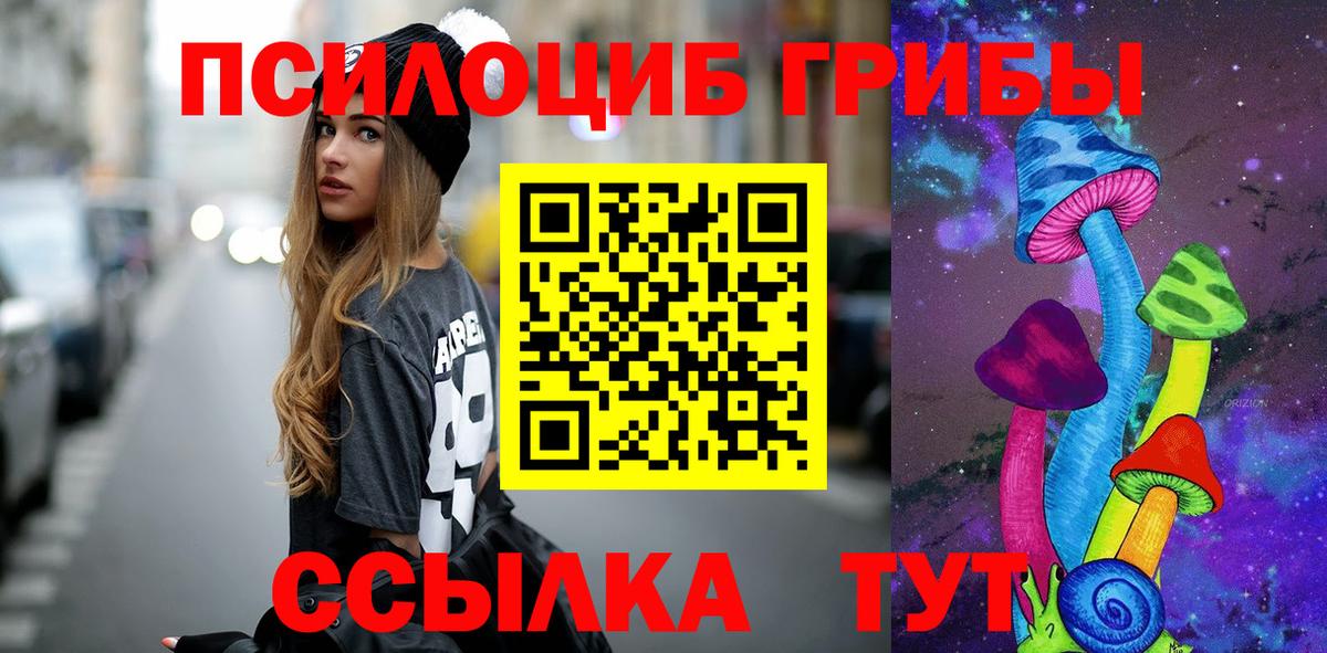 Псилоцибиновые грибы Psilocybine cubensis Чебаркуль